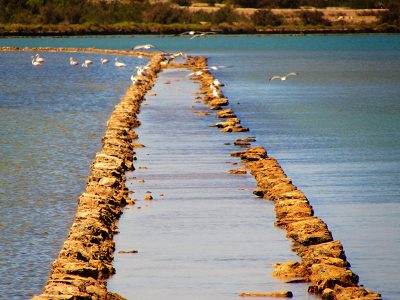 Estanc Pudent- Formentera